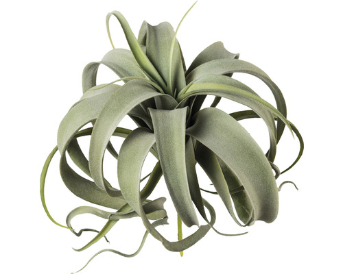 Kunst Tillandsia plant, hoogte: 28 cm, groen