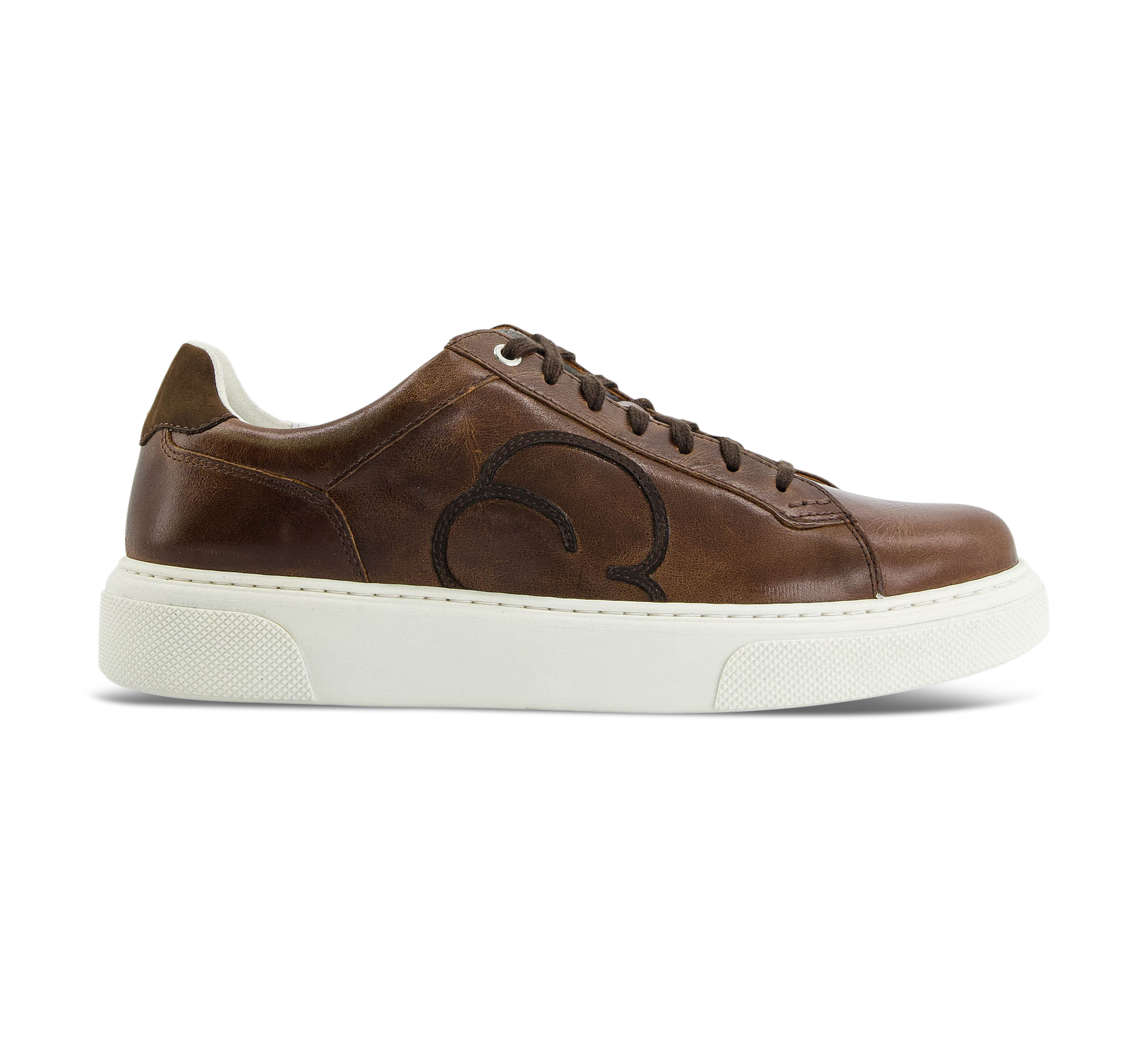 Cybrus 49ER