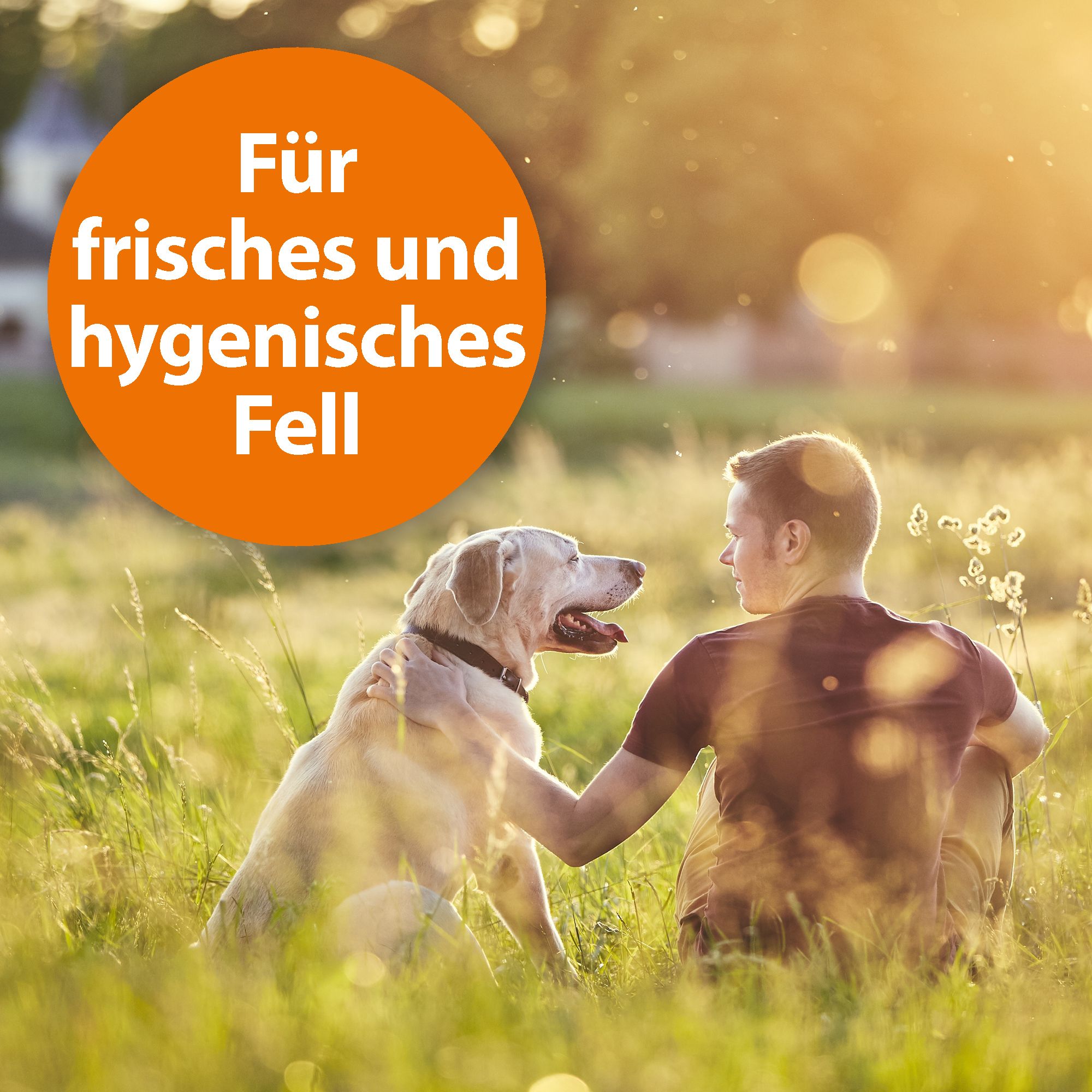ARDAP® Anti-Floh Shampoo für Hunde