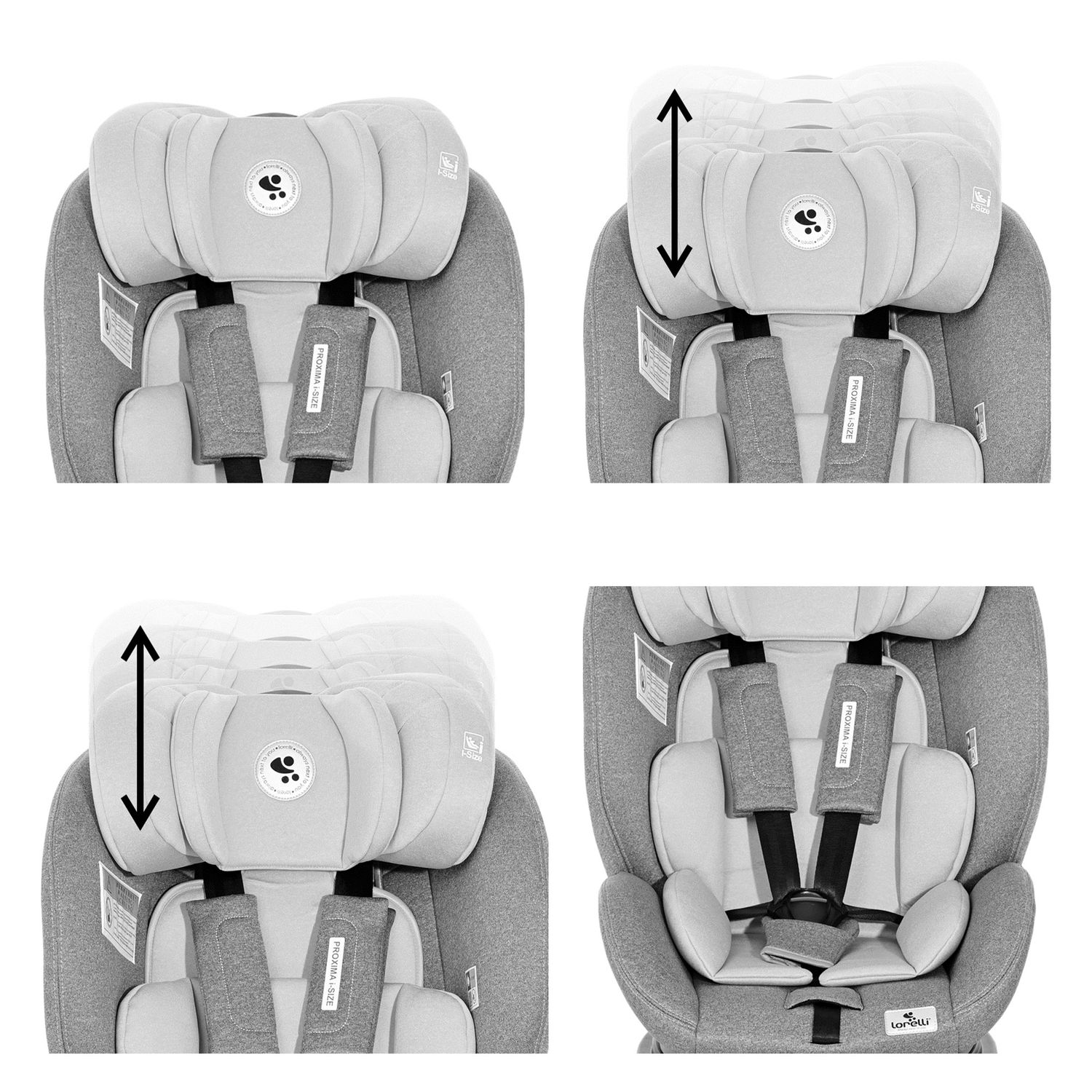 Lorelli Kindersitz Proxima i-Size Gruppe 0/1/2 (0 - 25 kg) Isofix verstellbar grau