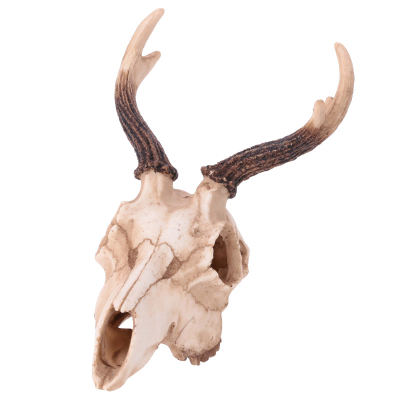 Deep Sea Deer Skull