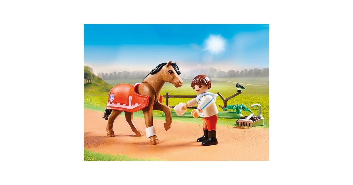 PLAYMOBILCountry - Verzamelpony Connemara Constructiespeelgoed  (70516)