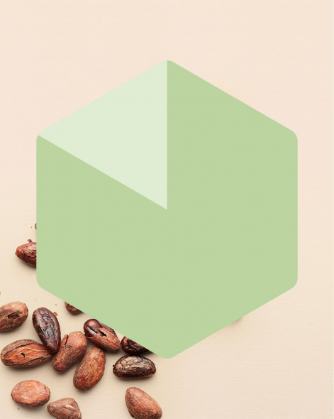 Tablette Lait de Coco Chocolat au Lait 45% | Le Chocolat Alain Ducasse 75g
