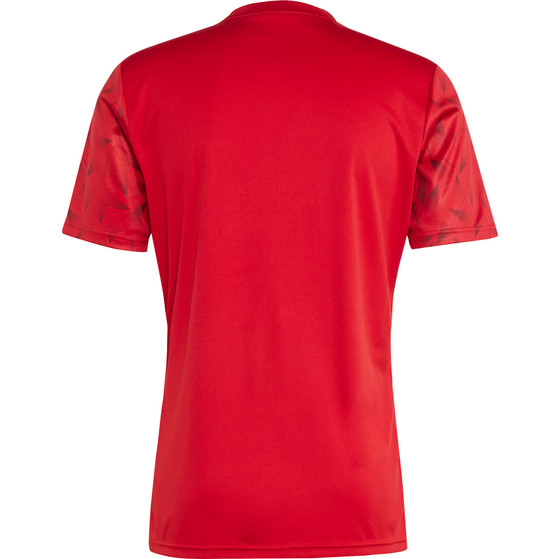 adidas Team Icon 25 Trainingsset