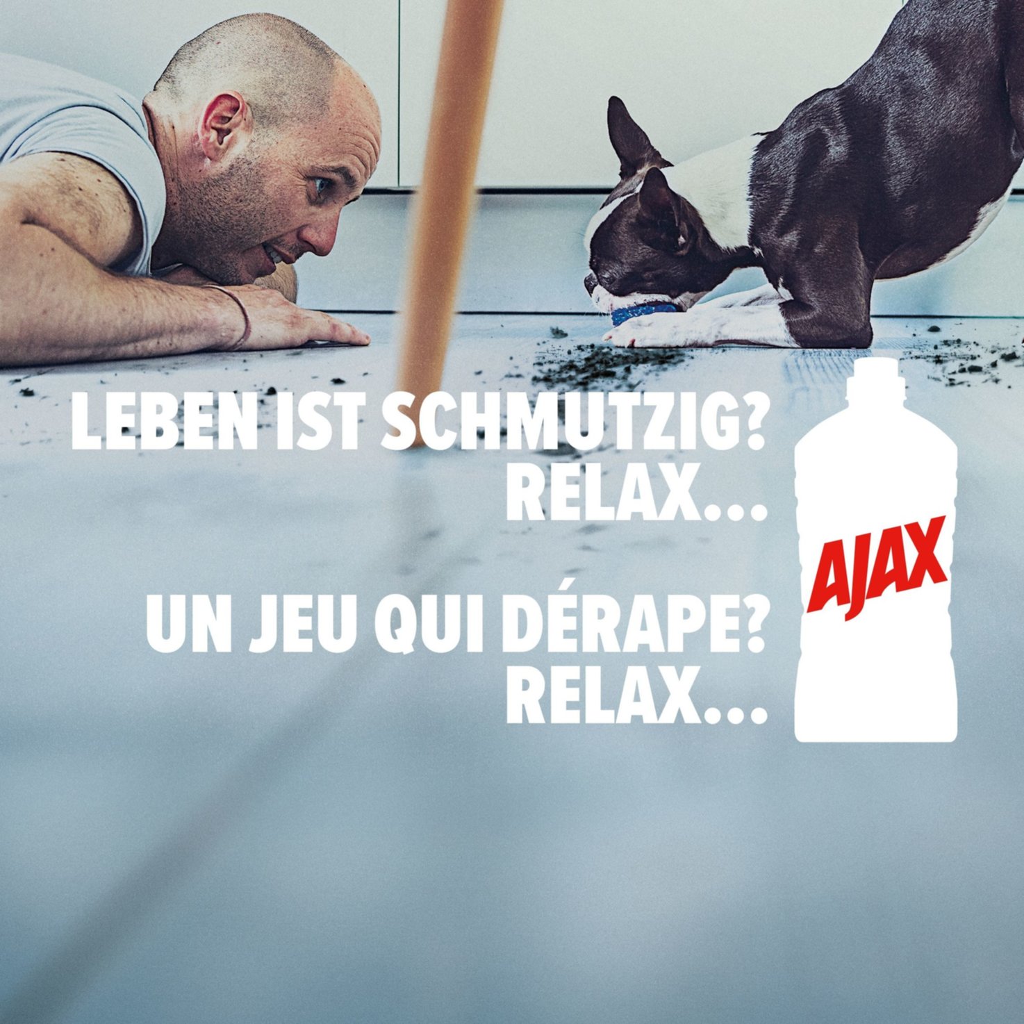 Ajax Blütenfest rote Blumen