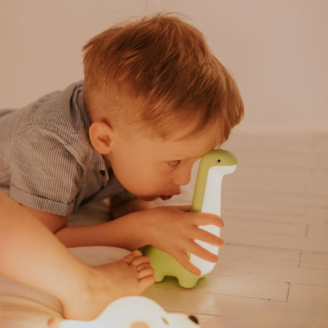 Mary's nachtlampje dinosaurus