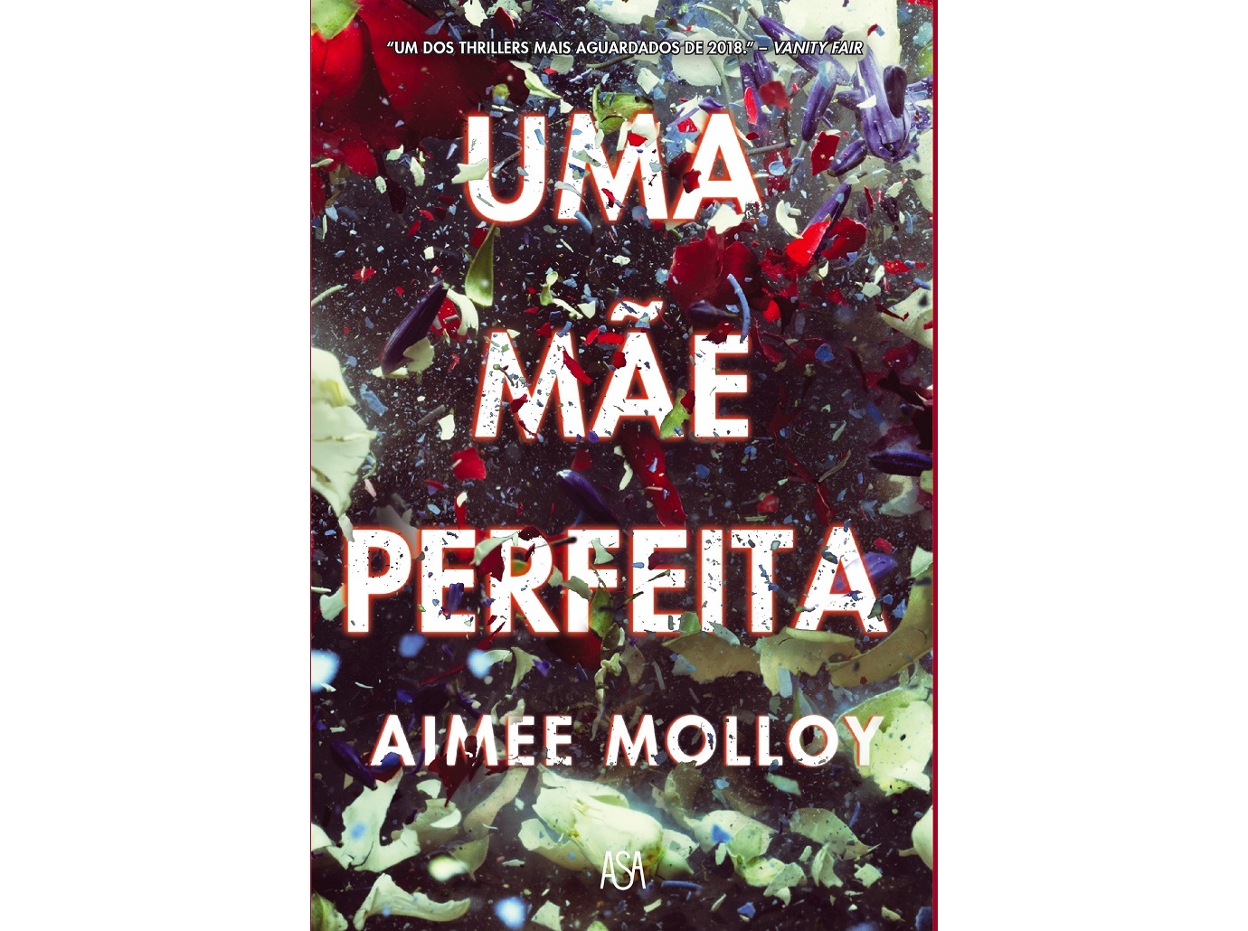 LIVRO UMA MÃE PERFEITA AIMEE MOLLOY