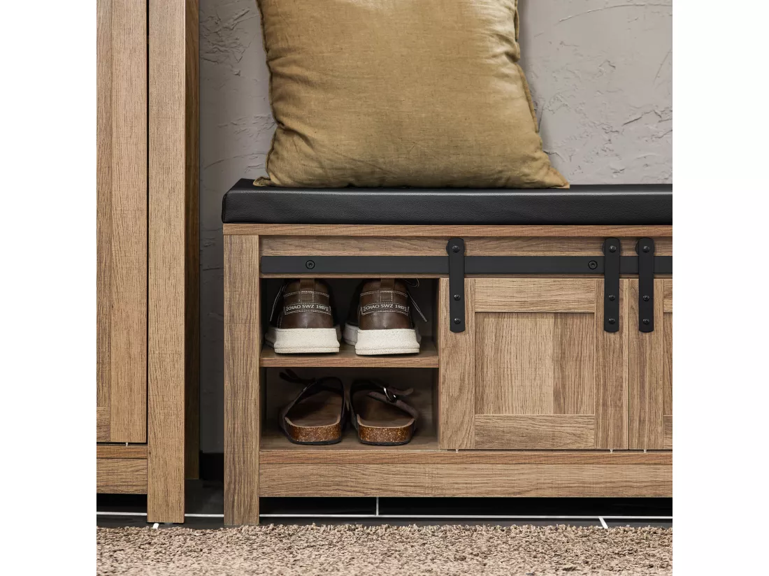Banc à Chaussure Meuble de Rangement à Chaussures Armoire à Chaussures Meuble d'entrée, FSR118-BR