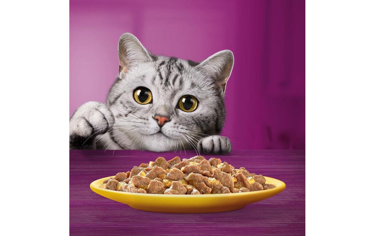 Nassfutter Geflügel in Gelee 11+, 12 x 85gAlleinfuttermittel für ausgewachsene Katzen