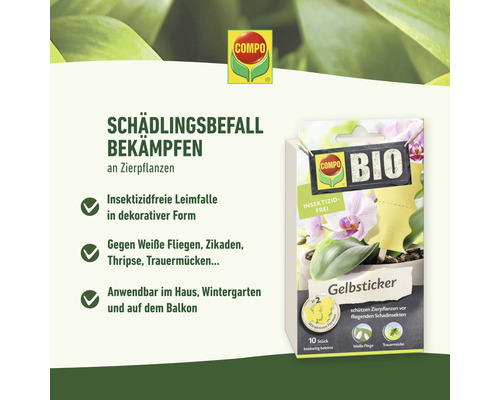 Gele lijmvallen voor plantenplagen COMPO BIO lijmvallen 10 stuks insecticidevrij in 2 verschillende vormen