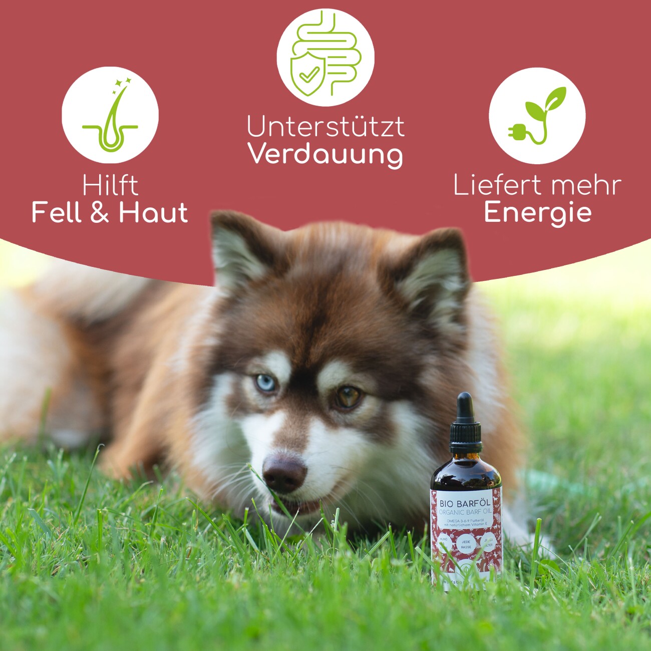 Wolfsbacher Natur Futteröl Set 6 x 100ml