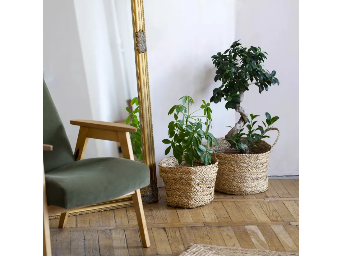 Paniers de Rangement Rebecca Mobili Parota 35x35x35 Algue Marine Marron Boho ENSEMBLE 2 pièces
