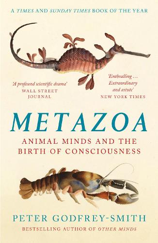Metazoa: Animal Minds and the Birth of Consciousness (Paperback)