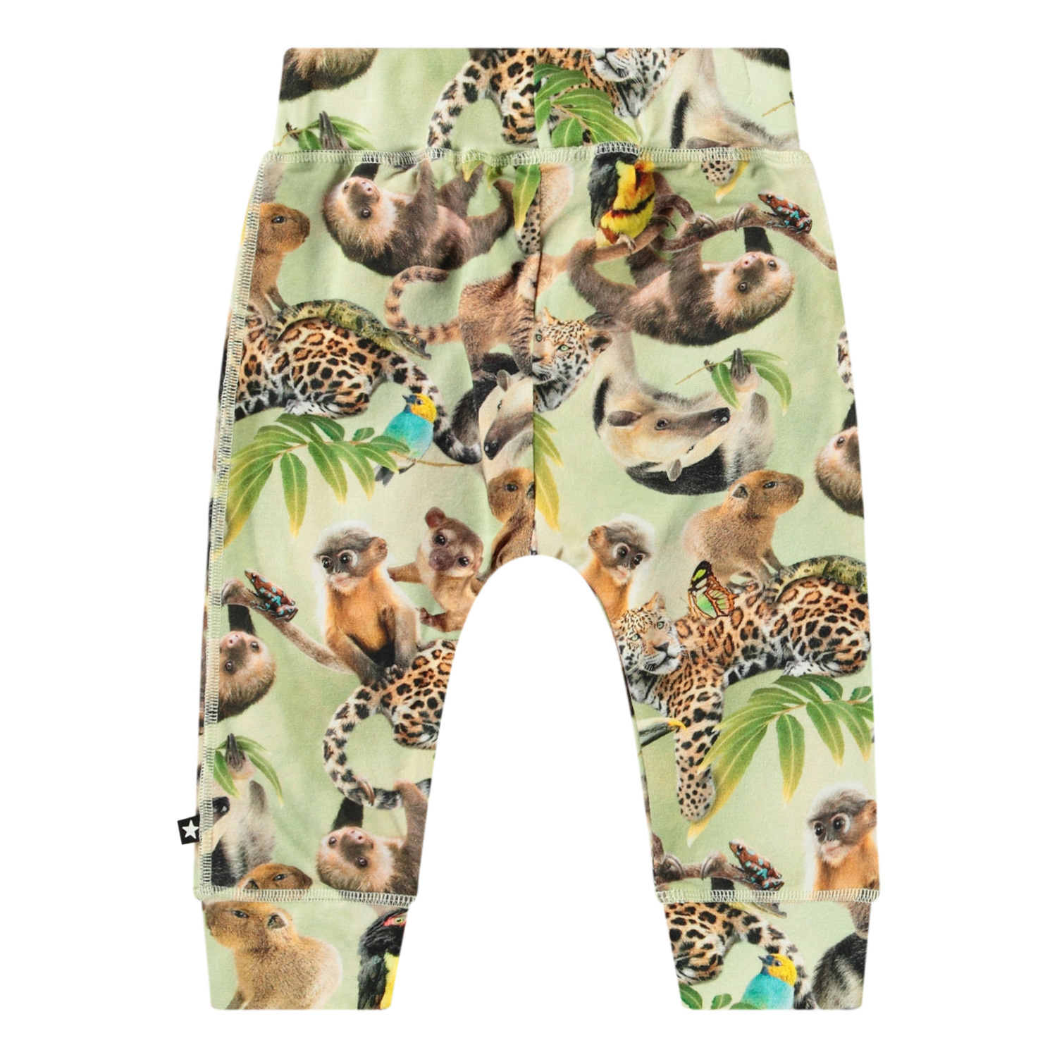 Sammy - Jungle Cubs