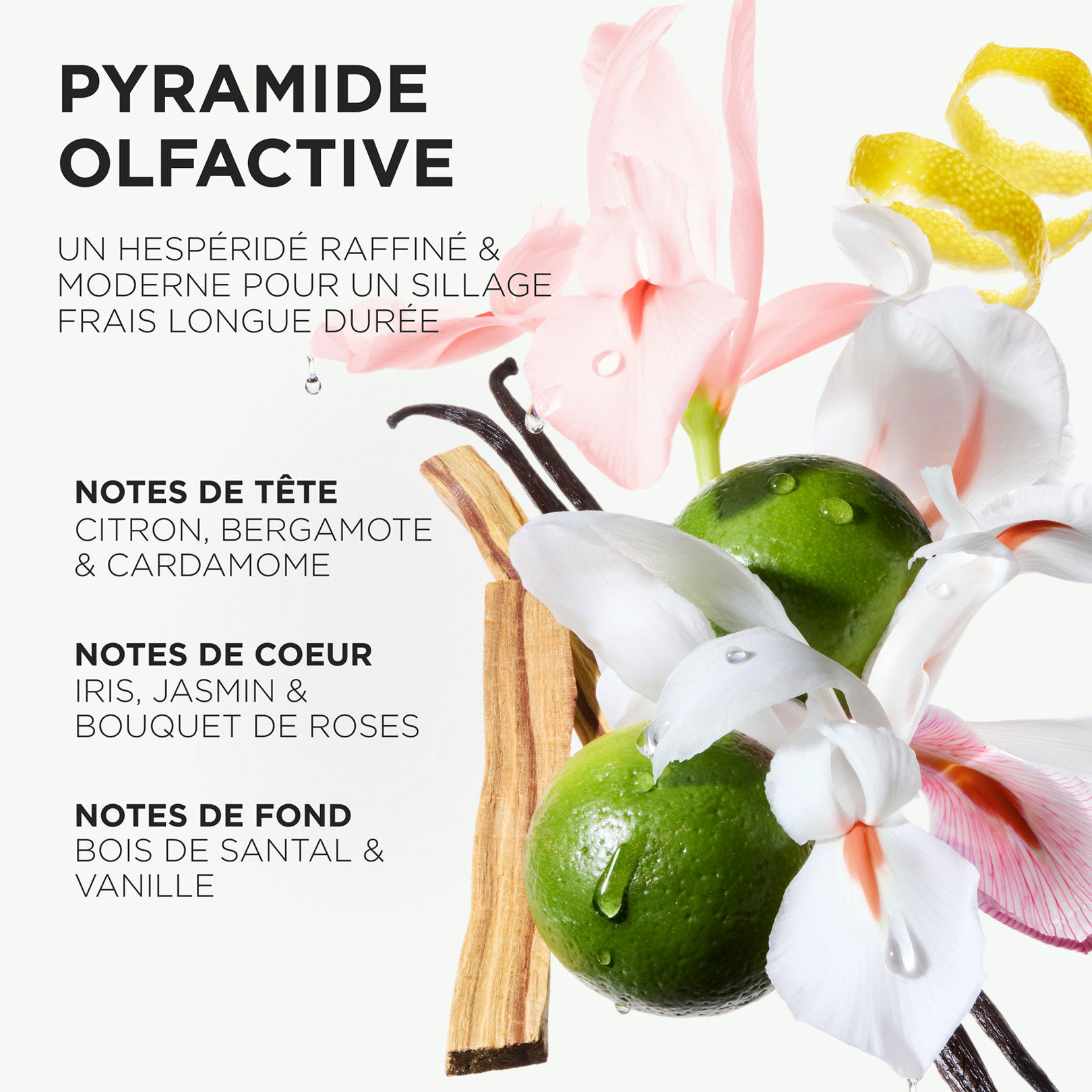 Bain crème Hydra-Glaze Gloss Absolu 250 ml