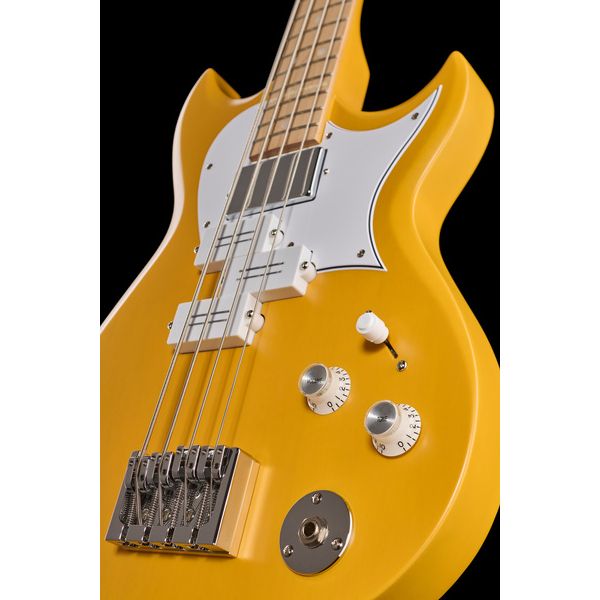 Reverend Mike Watt Wattplower MkII WY