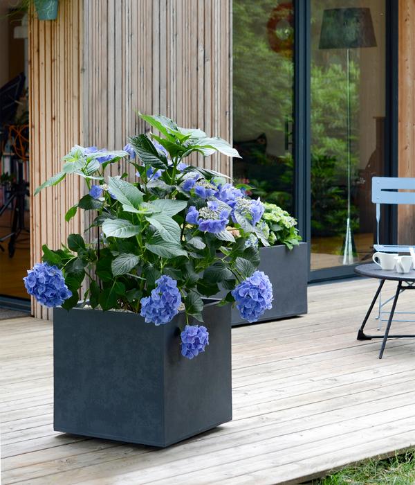 EDA Kunststoff-Pflanztopf Basalt Up,