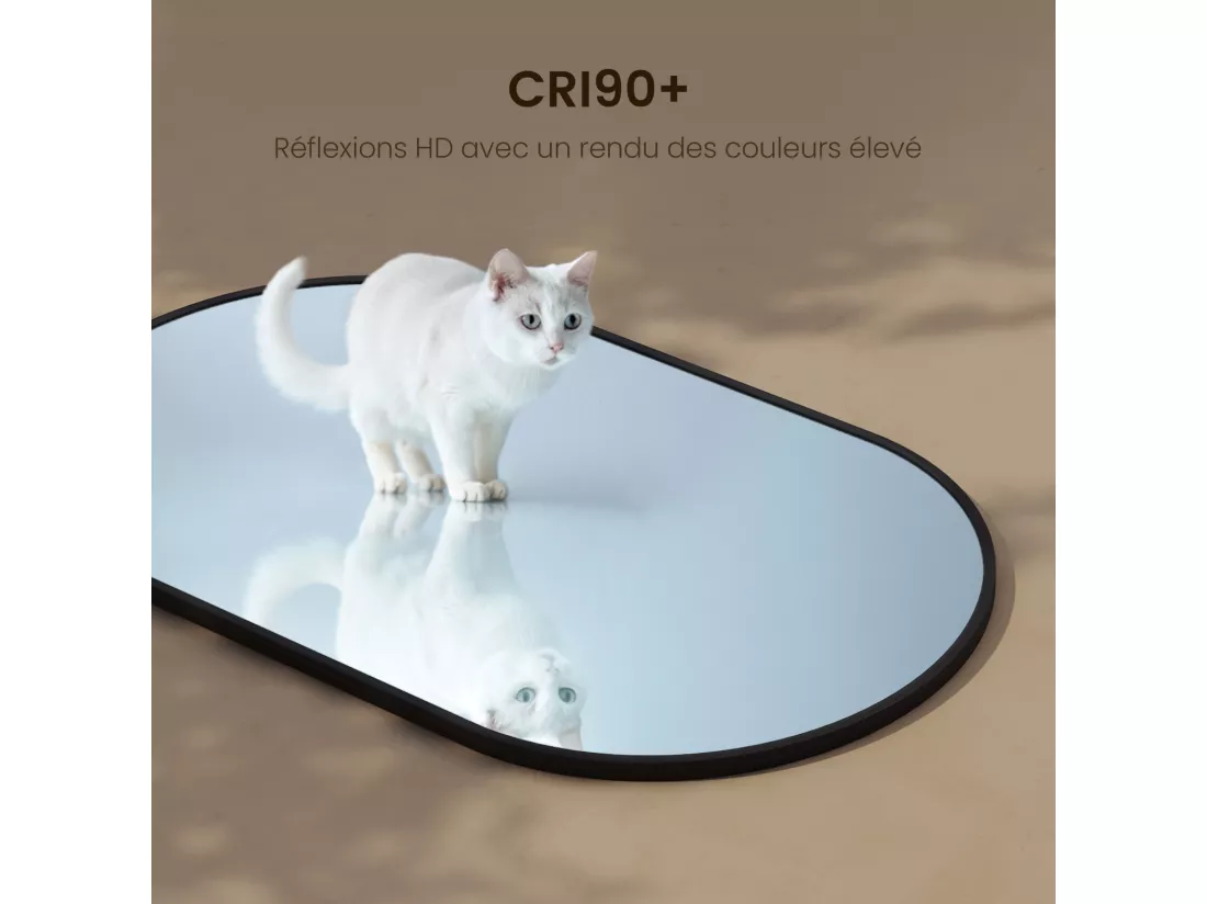 EMKE Miroir mural 45 × 60 cm Miroir ovale avec cadre noir, Miroir non lumineux salle de bain