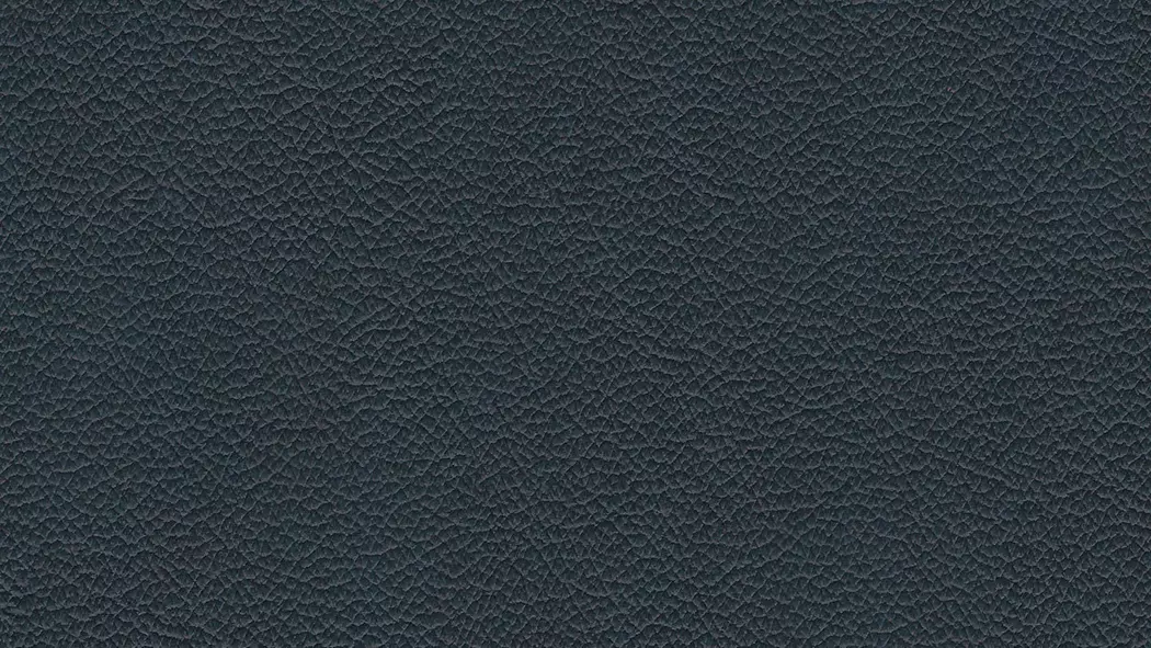 Kopfstütze 24252 foscaari
