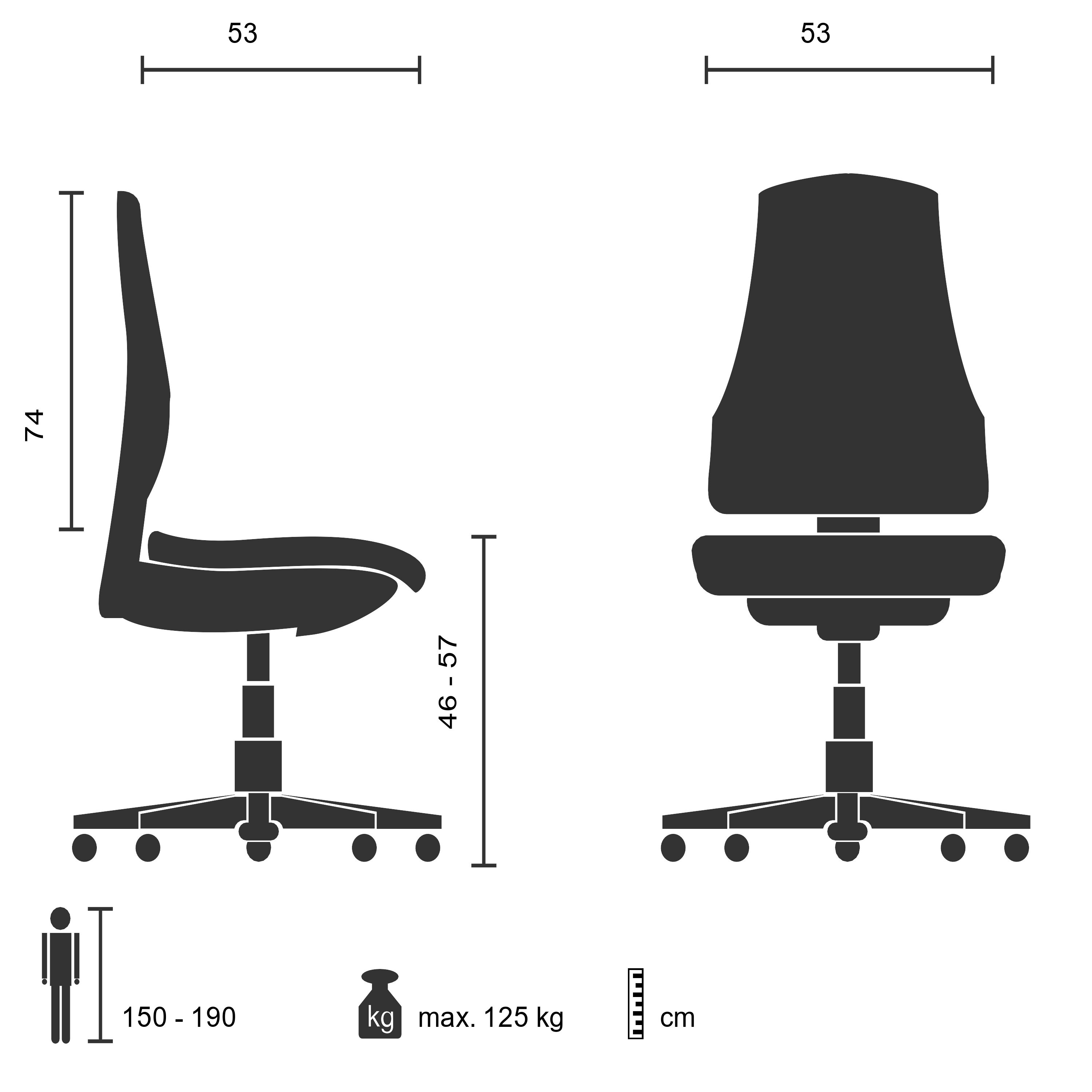 Profi Chefsessel EMBASSY 200 Leder mit Armlehnen (höhenverstellbar) hjh OFFICE