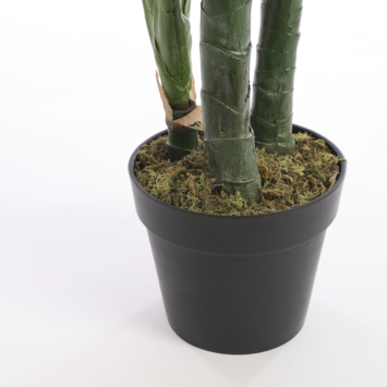 Kunstplant Taro in plastic pot groen - h120xd60cm