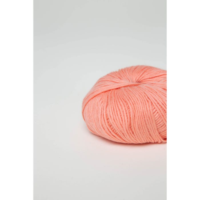 Atelier Veritas-Lily