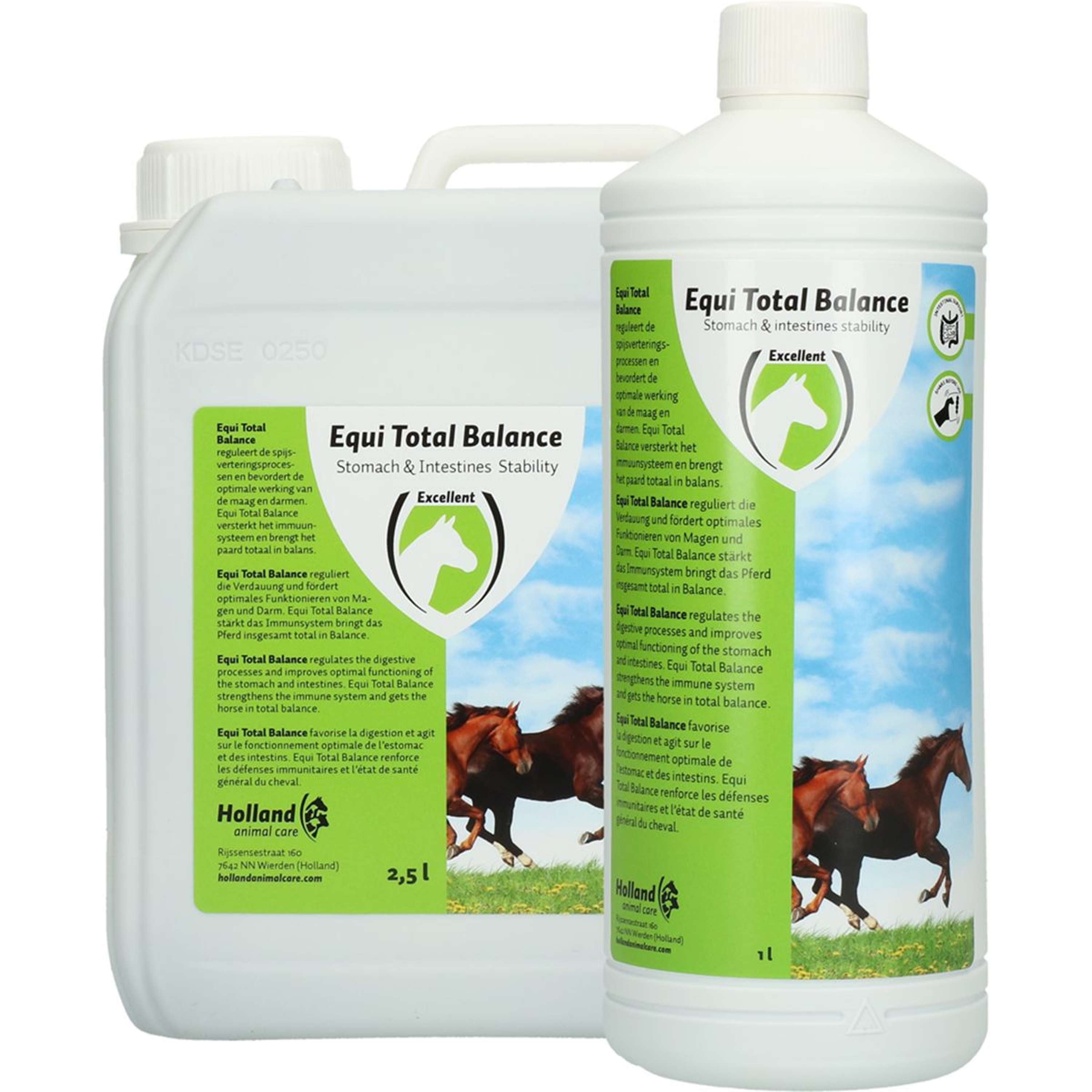 Excellent Equi Total Balance