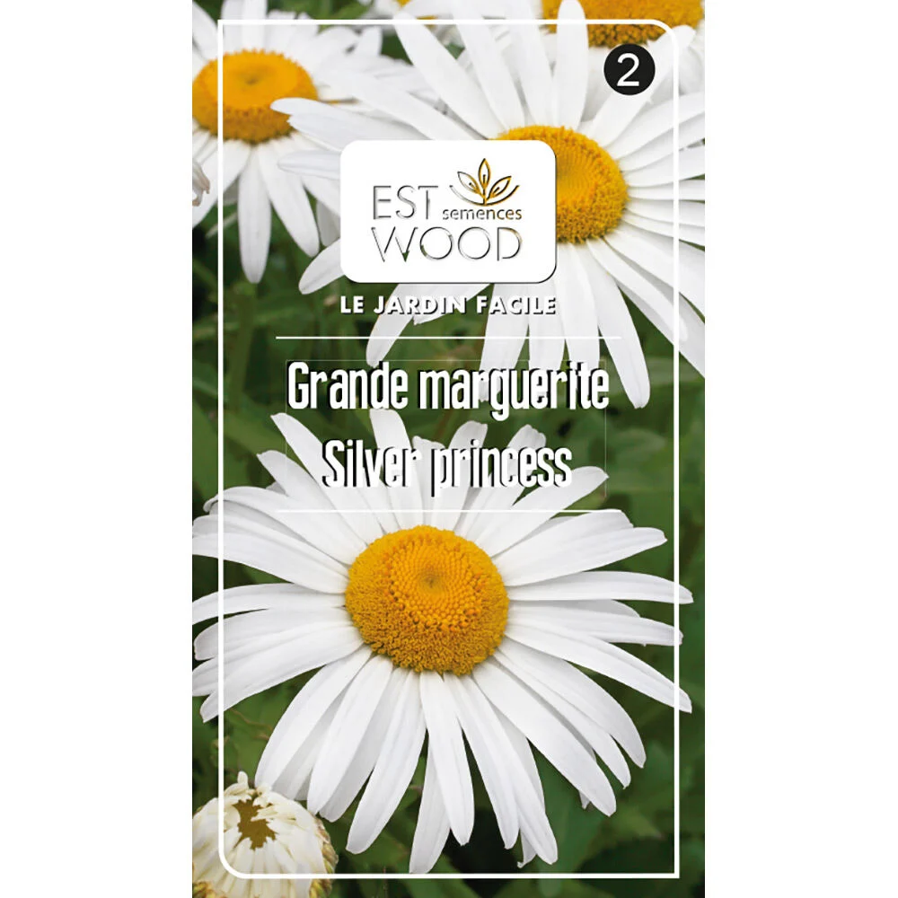 Semence graines de Marguerite Shasta jaune 1 gr