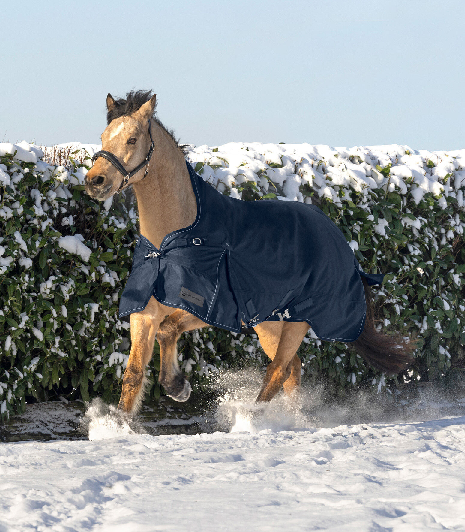Waldhausen Scandic Hoge nek 200 gr - Winterdeken - Paardendeken - Blauw - 125/175