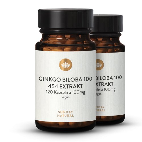 Sunday Natural Products  Ginkgo Biloba 100 mg 45:1 Extrakt