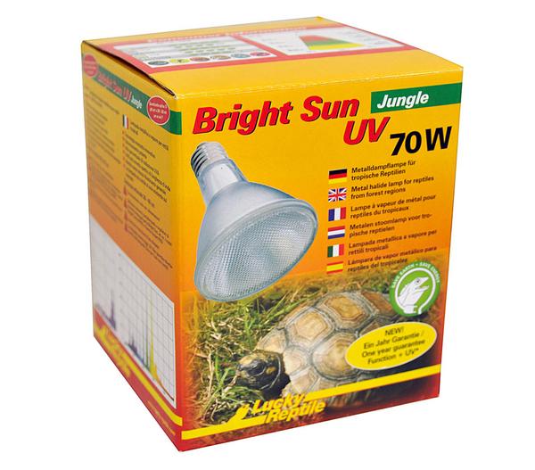 Lucky Reptile Bright Sun UV Jungle