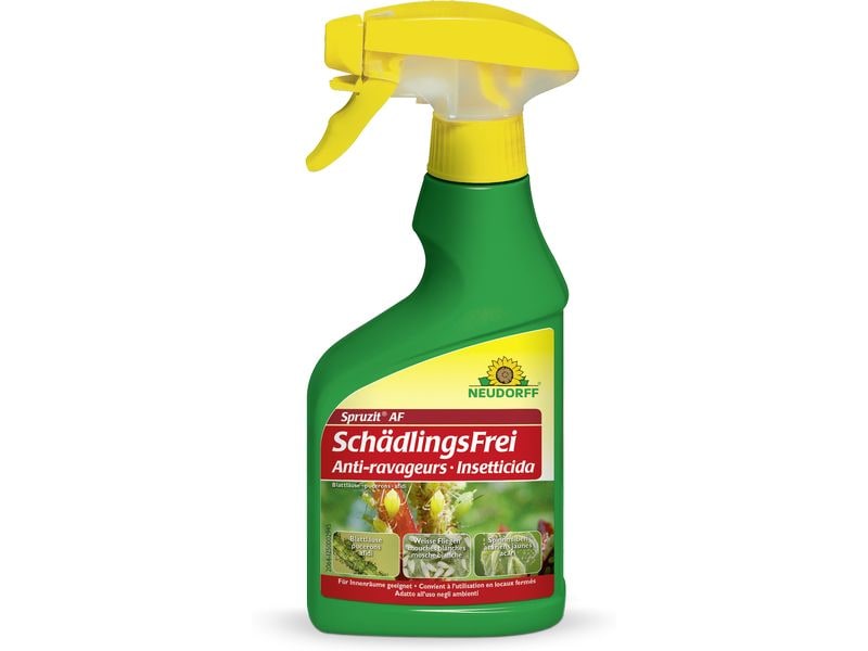 Neudorff Spruzit AF Schädlingsfrei mit Sprüher 250 ml Anwendungsfertiges Spray, das Blattläuse, Thripse, Buchsbaumzünsler & Co. zuverlässig bekämpft
