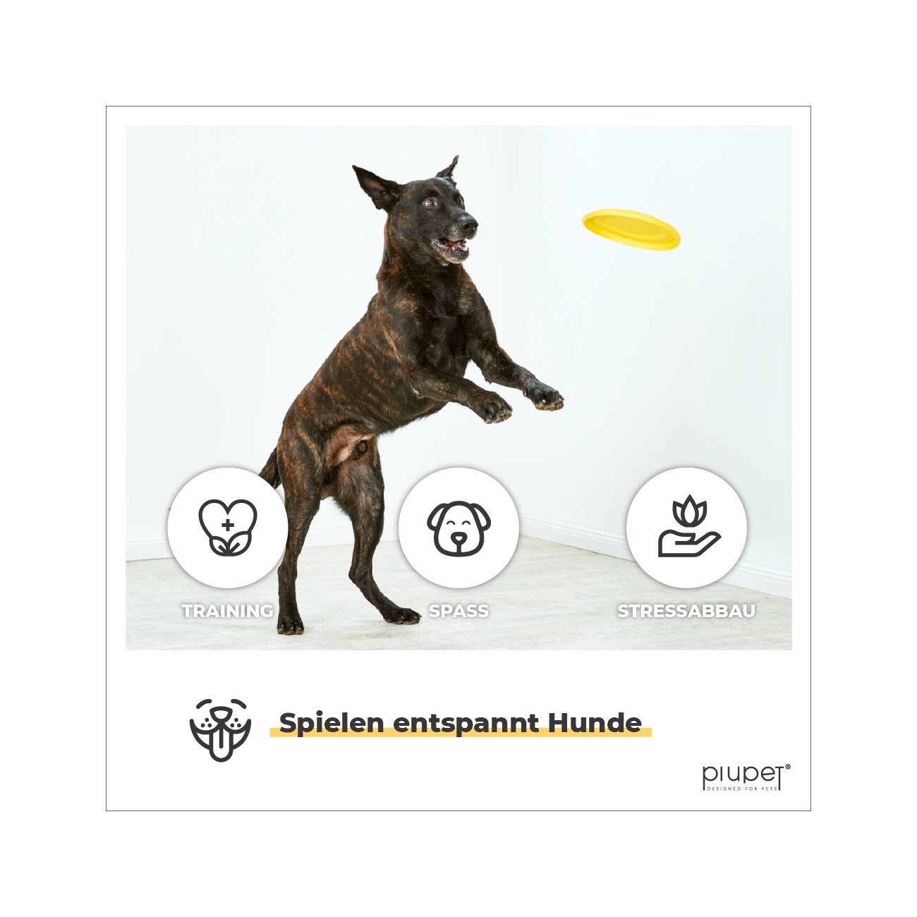 PIUPET Frisbee-Set