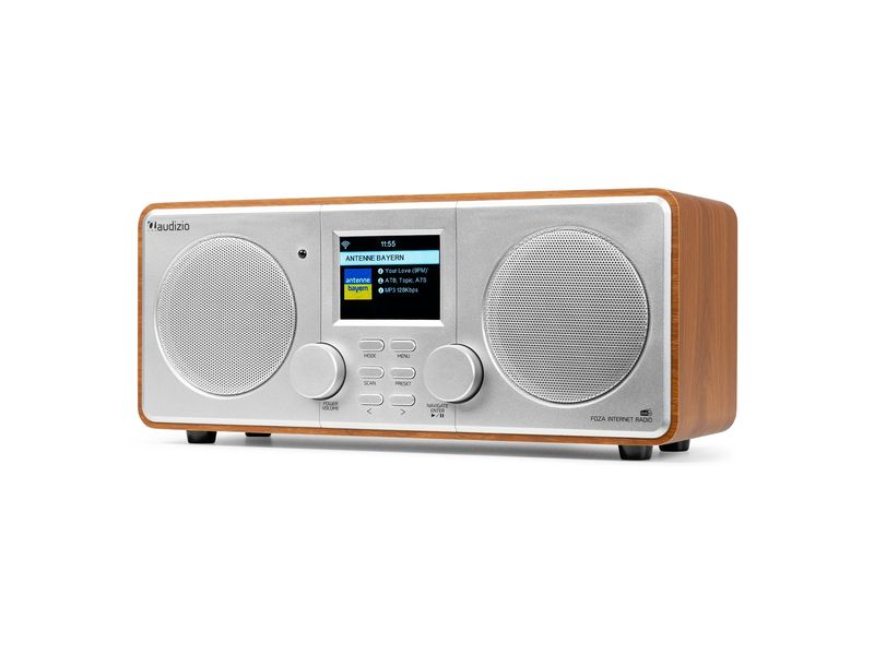 Audizio DAB  Radio Foza Braun/Silber All-in-One-WLAN-Internetradio mit DAB  und UKW