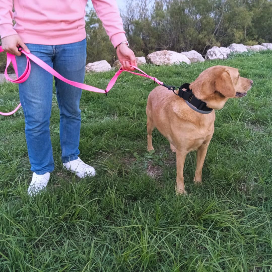EGV - Guia para cães com múltiplas posições e alça dupla de neoprene. Guia para cães que permite o uso com as mãos livres, 2,5 metros de comprimento. (Rosa)