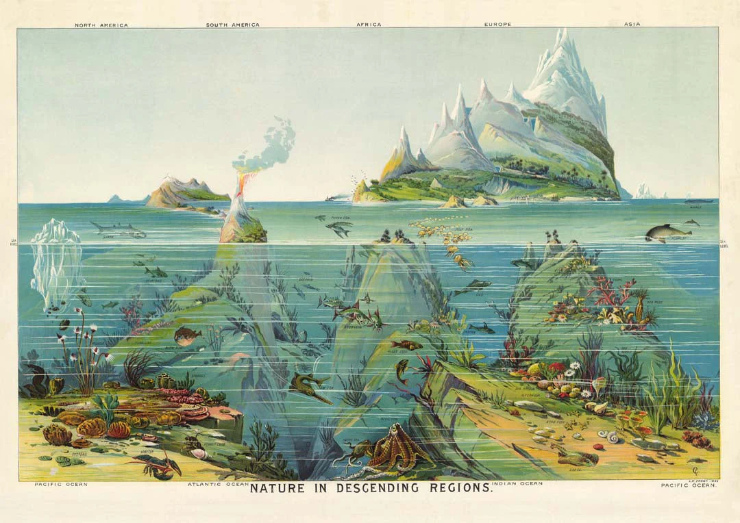 Natur in absteigenden Regionen Bildung Vintage