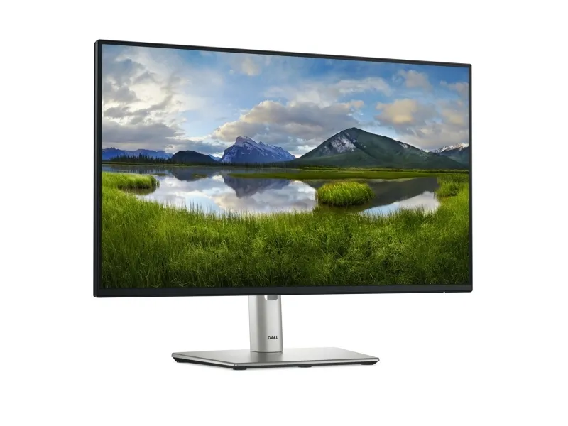 Dell P2425H - LED-skærm - 24