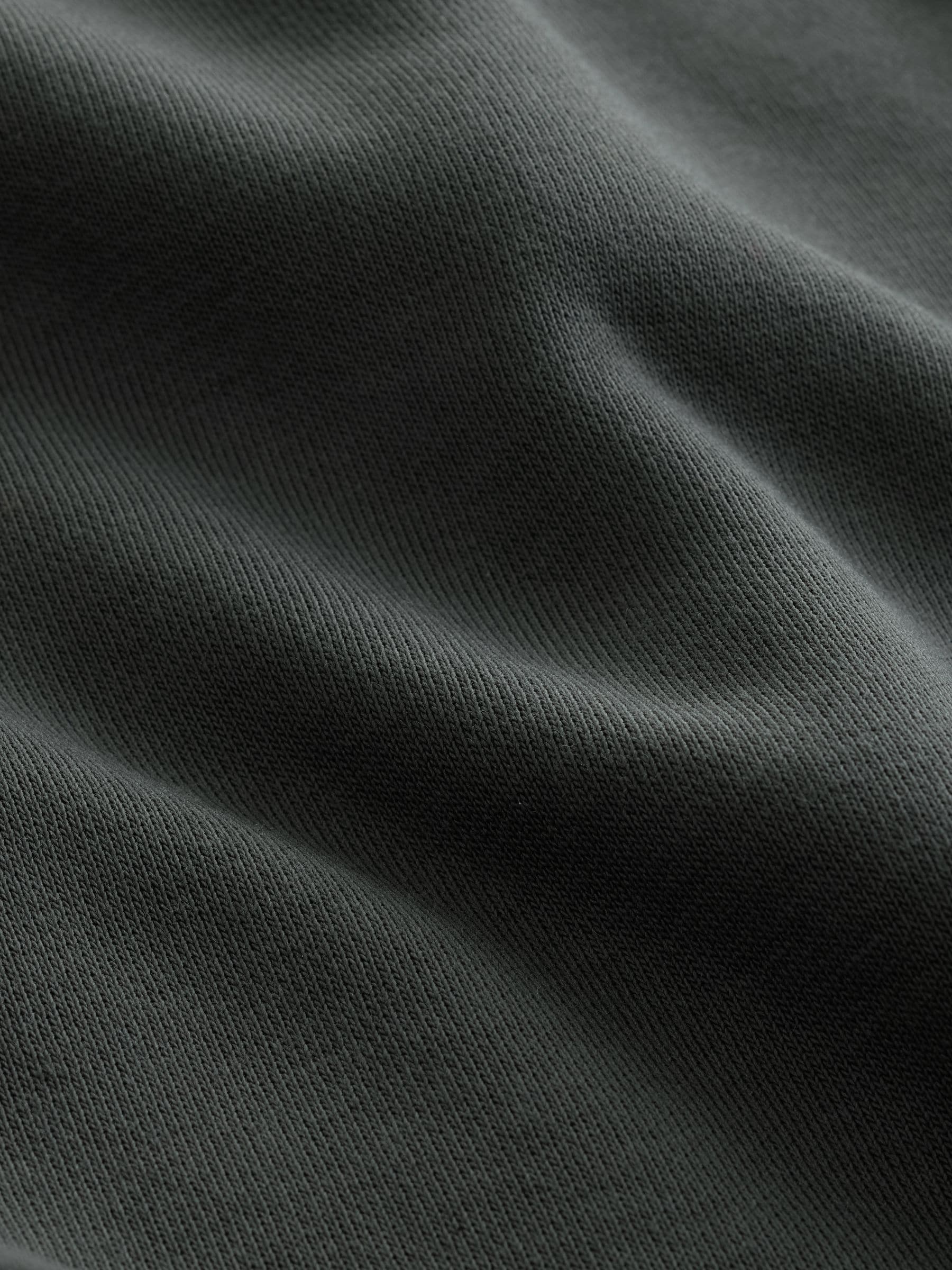 Leisteen grijs - Normale Pasvorm - Zwaargewicht Cotton Rich Jersey Hoodie