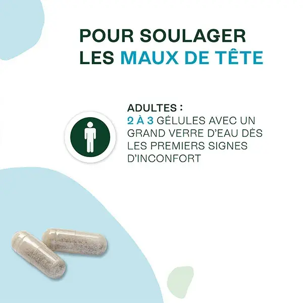 Naturactive Maux de Tete Flash Bio 14 gelules