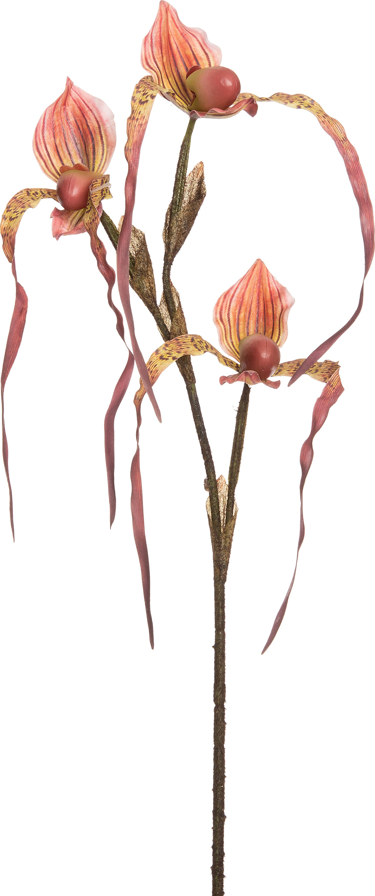 Intratuin kunstbloem Orchidee bordeaux 92 cm