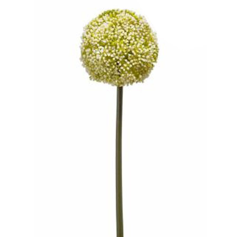 KUNSTPLANTE ALLIUM STILK 75CM AVSKÅRET HVIT/GRØNN