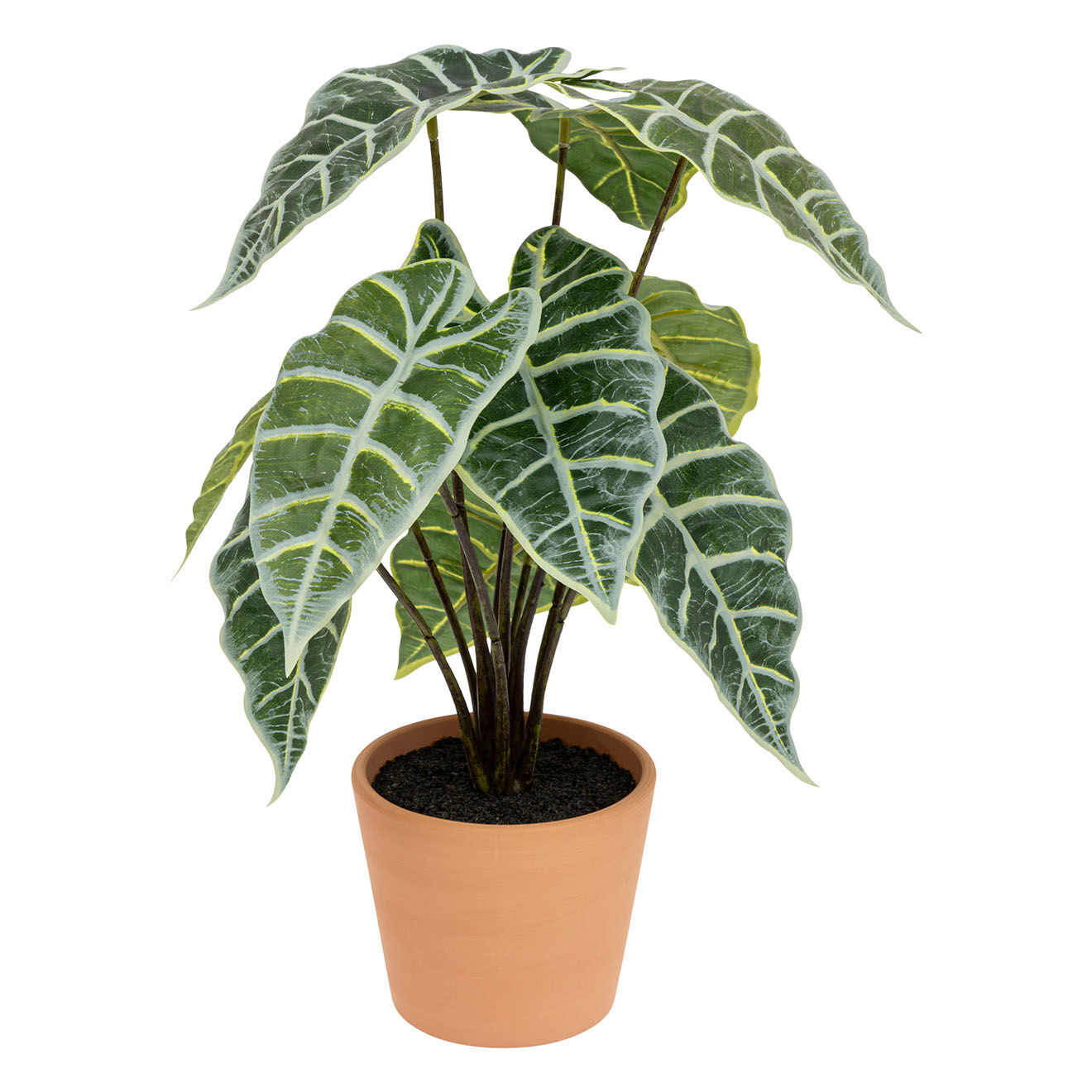 Atmosphera Alocasia artificiel vert - 28x28x43 cm