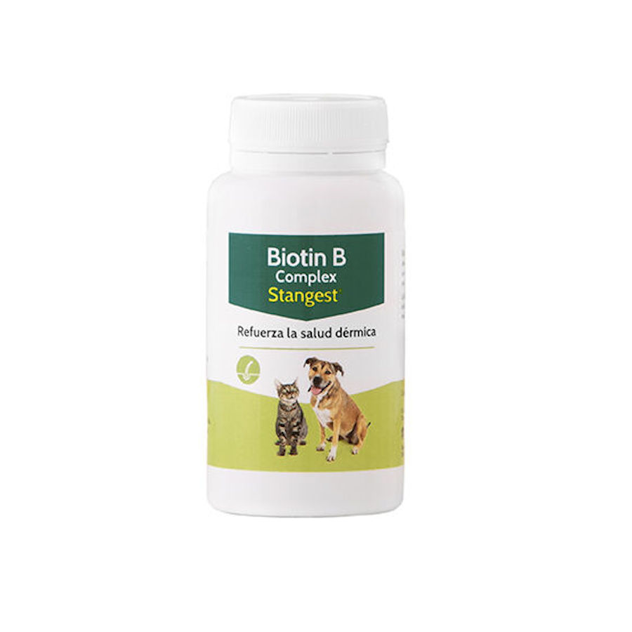 Suplemento Stangest de Biotina B para cuidados com a pele em cães e gatos.