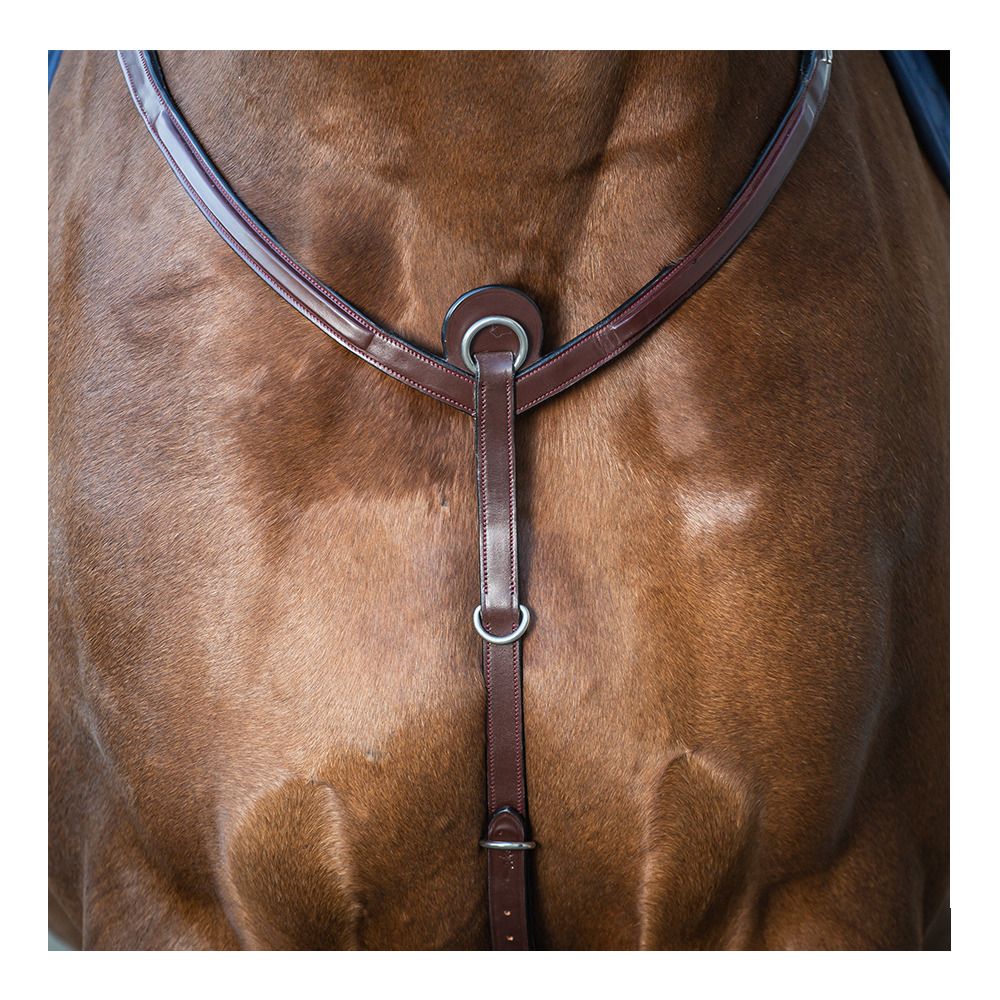 Dy'on NEW ENGLISH COLLECTION - Collier de chasse brun