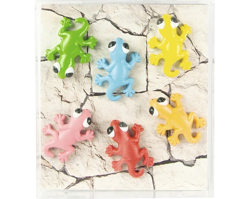 Decoratieve magneet Gecko, set van 6