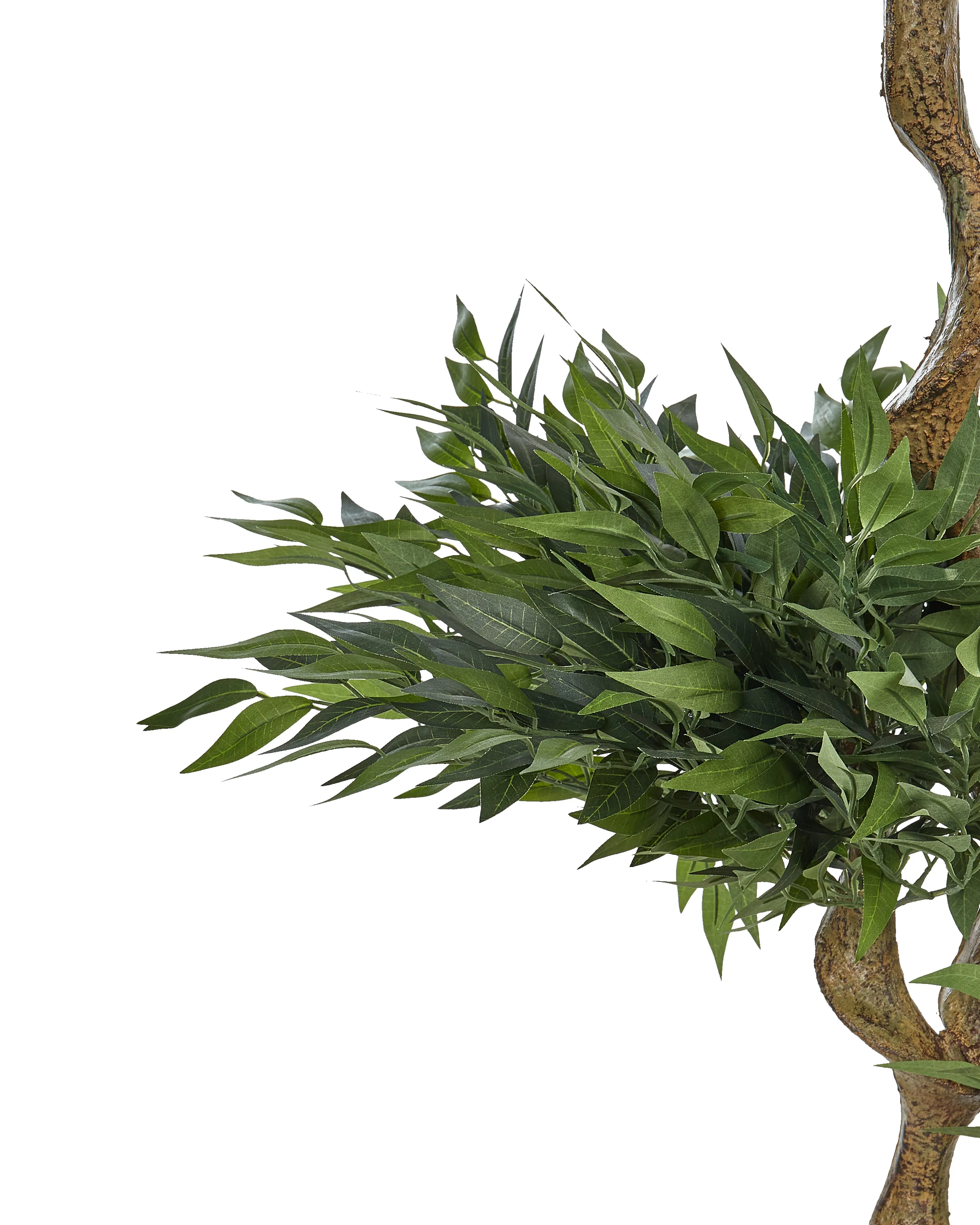 Kunstplant RUSCUS TREE 166 cm Groen