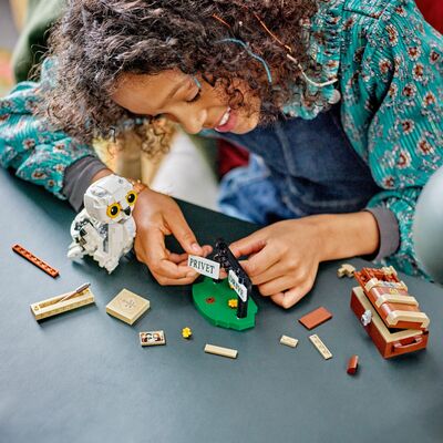 LEGO Harry Potter 76425 Hedvig i Hekkveien 4