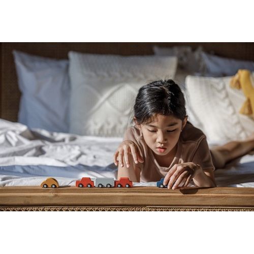 Plan toys mini auto's