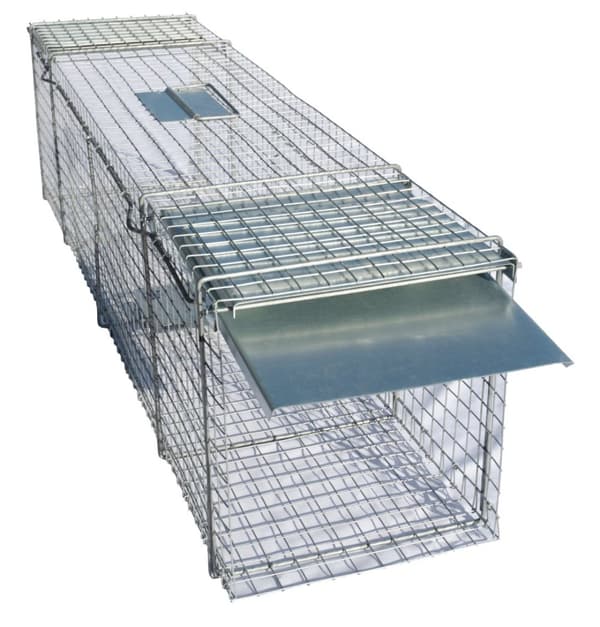 Live Trap rotte, mår, stangkatt, katt, rev 122x29x32cm