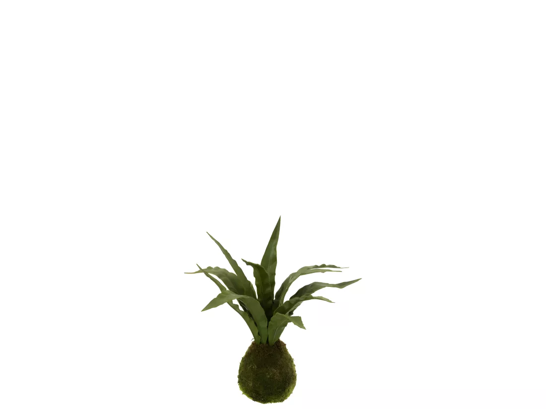 Plante Artificielle 